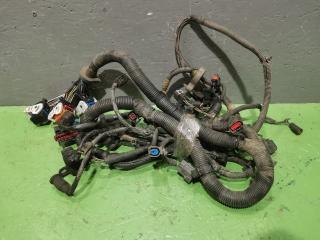 Проводка двигателя Ford Focus 2008