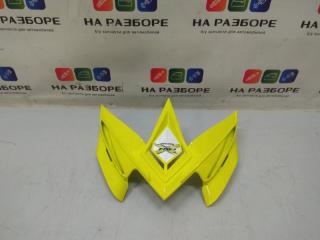 Пластик BRP BRP RXP