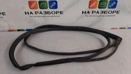 Уплотнительная резинка на дверь задняя правая Mitsubishi Lancer 2005