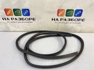 Уплотнительная резинка на дверь задняя левая FORD Focus 2007