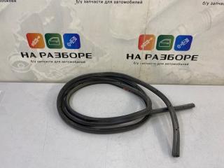 Уплотнительная резинка на дверь задняя правая FORD Focus 2007