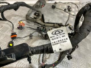 Проводка двигателя C5