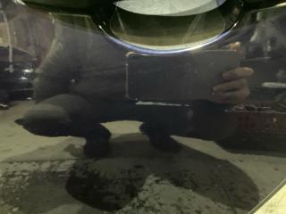 Дверь задняя левая C4 2016 B7 DV6FC