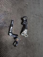 Запчасть петли двери задние правые FORD FOCUS 2009