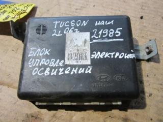 Блок электронный Hyundai Tucson 2006