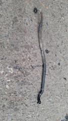 Шланг гидроусилителя Volkswagen Passat 1999