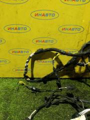 Проводка (коса) Golf Plus 2012 5M1 CBZB