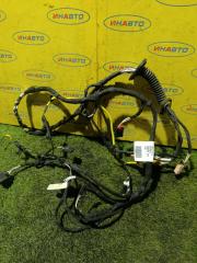 Проводка (коса) Golf Plus 2012 5M1 CBZB