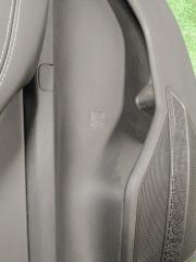 Обшивка боковой двери задняя правая Tiggo 7 Pro Max 2024 SQRF4J16