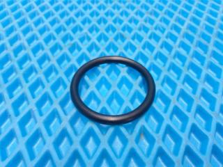 Кольцо уплотнительное SITRAK / HOWO C7H  / T5G