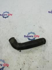 Патрубок радиатора нижний Subaru Legacy