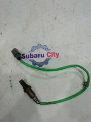 Кислородный датчик Subaru Forester