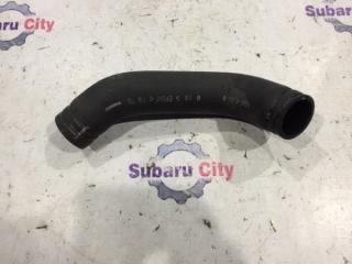 Патрубок радиатора нижний Subaru Legacy 2001