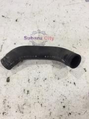 Патрубок радиатора нижний Subaru Legacy 2003