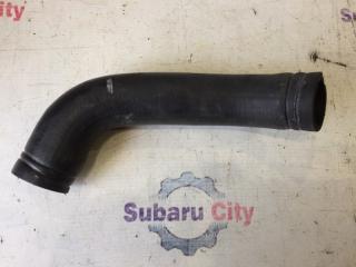 Патрубок радиатора нижний Subaru Legacy 2001