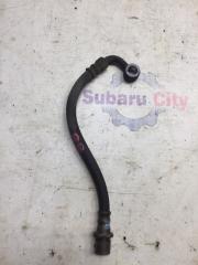 Шланг тормозной задний Subaru Legacy 1999