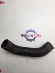 Патрубок радиатора нижний Subaru Legacy 2001