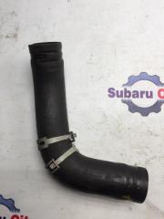 Патрубок радиатора нижний Subaru Legacy 2004