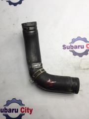 Патрубок радиатора нижний Subaru Legacy 2004
