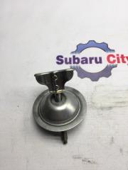 Крепление запасного колеса Subaru Legacy 1998