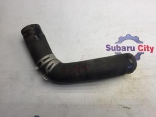 Патрубок радиатора нижний Subaru Legacy 2005
