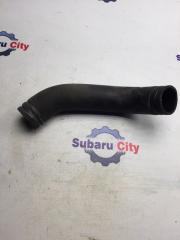 Патрубок радиатора нижний Subaru Legacy 1998