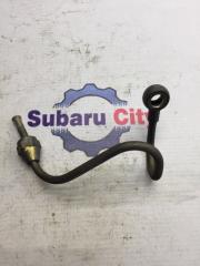 Трубка масло подачи турбины левая Subaru Legacy 1998
