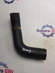 Патрубок радиатора нижний Subaru Legacy 2004