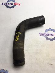 Патрубок радиатора нижний Subaru Forester 2008