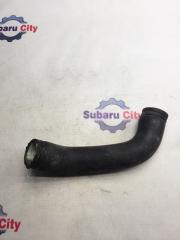 Патрубок радиатора нижний Subaru Legacy 2000