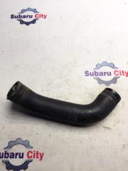 Патрубок радиатора нижний Subaru Legacy 2001