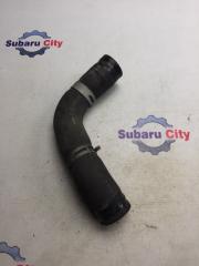 Патрубок радиатора нижний Subaru Legacy 2004