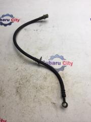 Шланг тормозной передний правый Subaru Forester 2003
