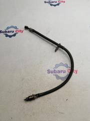 Шланг тормозной передний правый Subaru Legacy