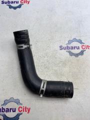 Патрубок радиатора нижний Subaru Legacy 2005