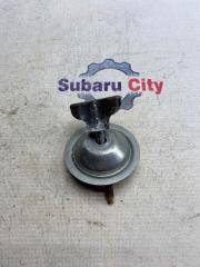Крепление запасного колеса Subaru Legacy 2001