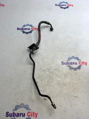 Шланг тормозной задний правый Subaru Legacy 2002