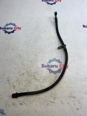 Шланг тормозной передний левый Subaru Legacy 2003
