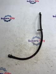 Шланг тормозной передний правый Subaru Legacy 2003
