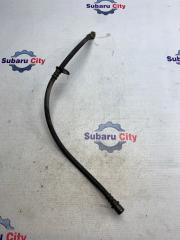 Шланг тормозной передний левый Subaru forester 2005