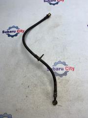 Шланг тормозной передний правый Subaru forester 2005