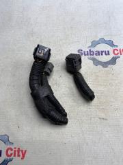 Разъем Subaru Legacy 2002