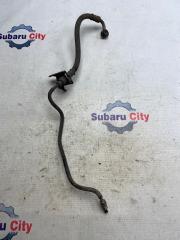 Шланг тормозной задний правый Subaru Legacy 2004