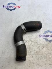 Патрубок радиатора нижний Subaru Forester 2006