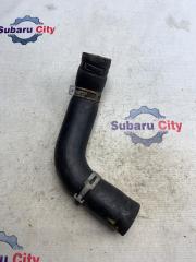 Патрубок радиатора нижний Subaru Legacy 2005