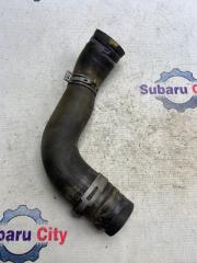 Патрубок радиатора нижний Subaru Legacy 2004
