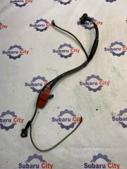 Коса Subaru Forester 2001 контрактная Коса Subaru Forester 2001