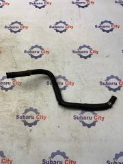 Шланги ГУР Subaru Legacy 2008