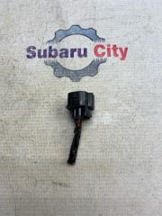 Разъем Subaru Legacy 2005