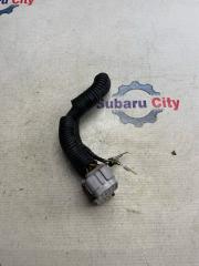 Разъем Subaru Forester 2001